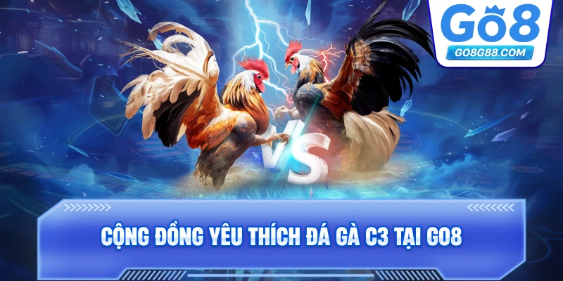 Cộng đồng yêu thích Đá Gà C3 tại Go8